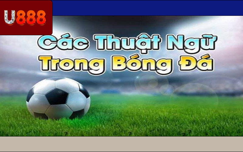 Các Thuật Ngữ Cá Cược Thể Thao Cho Người Nhập Môn