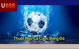 Các Thuật Ngữ Cá Cược Thể Thao Cho Người Nhập Môn